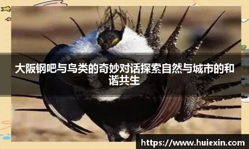 大阪钢吧与鸟类的奇妙对话探索自然与城市的和谐共生
